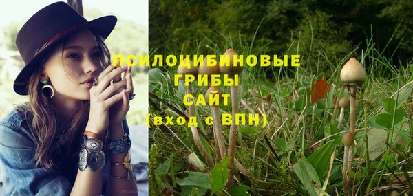 трава Алзамай