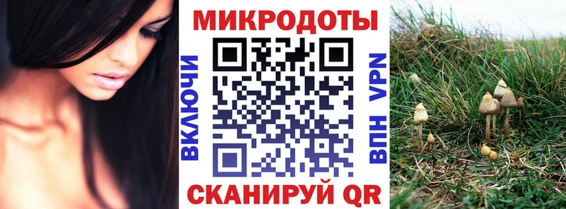 Псилоцибиновые грибы Psilocybe Калтан
