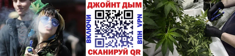 мега вход Калтан Каннабис индика
